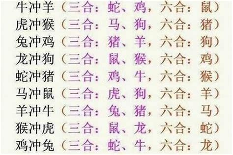 生肖相沖|十二生肖貴人；三合 (相生)、六合 (相合)、三會、相沖 (六沖)、相。